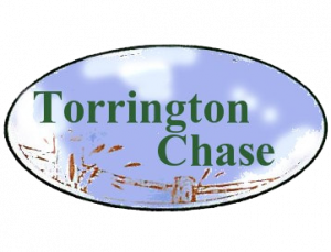 torrinton chase logo orig 1